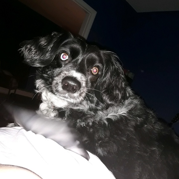 Meet your Posher, Racheal - Picture 1 of 1